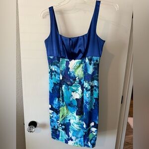 Blue Floral Sleeveless Dress